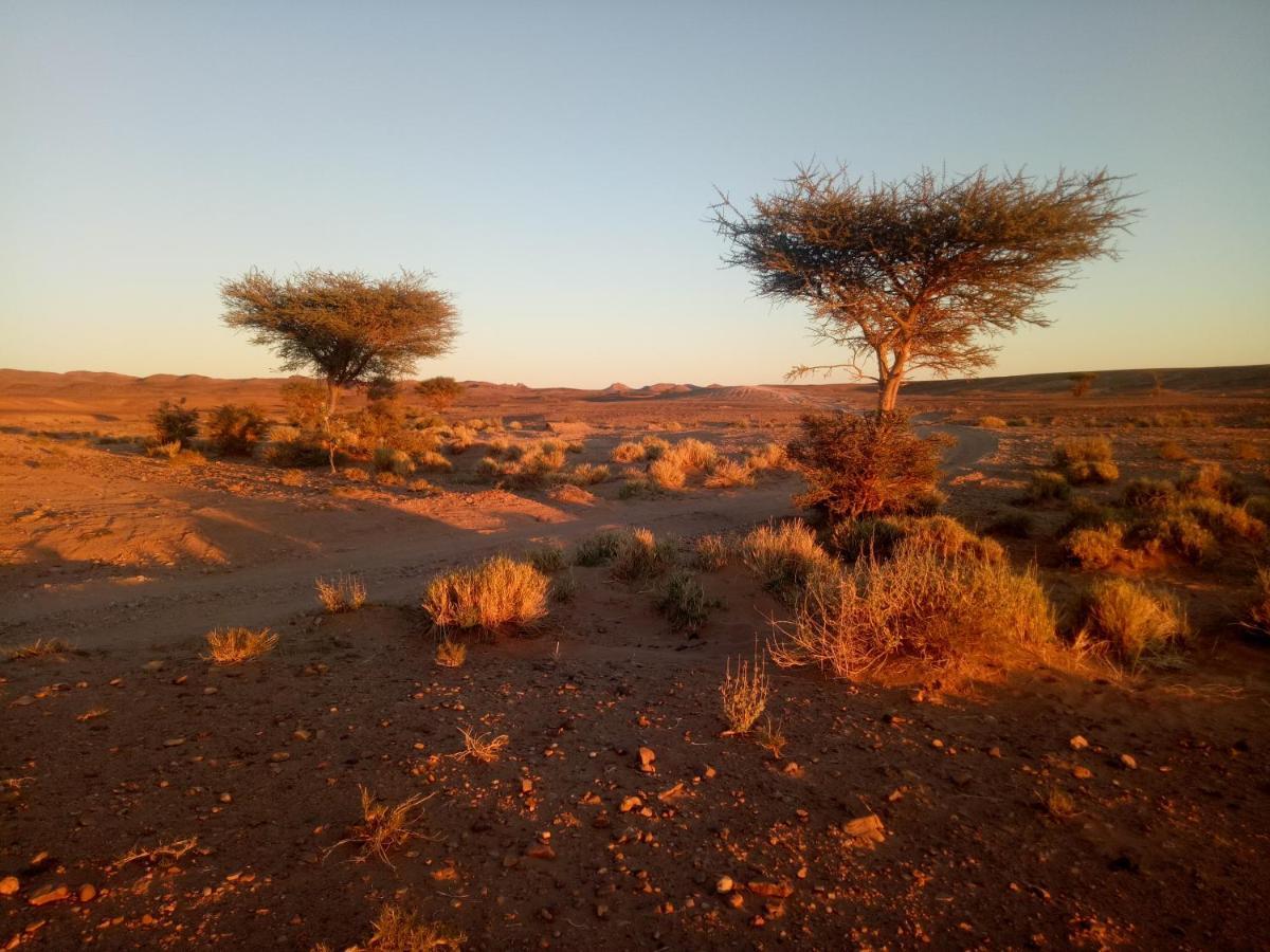 ホテル Sahara Peace Camp ザゴラ エクステリア 写真