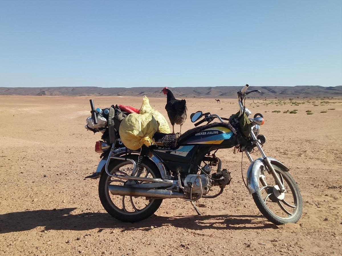 ホテル Sahara Peace Camp ザゴラ エクステリア 写真
