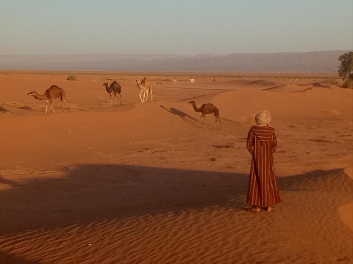 ホテル Sahara Peace Camp ザゴラ エクステリア 写真