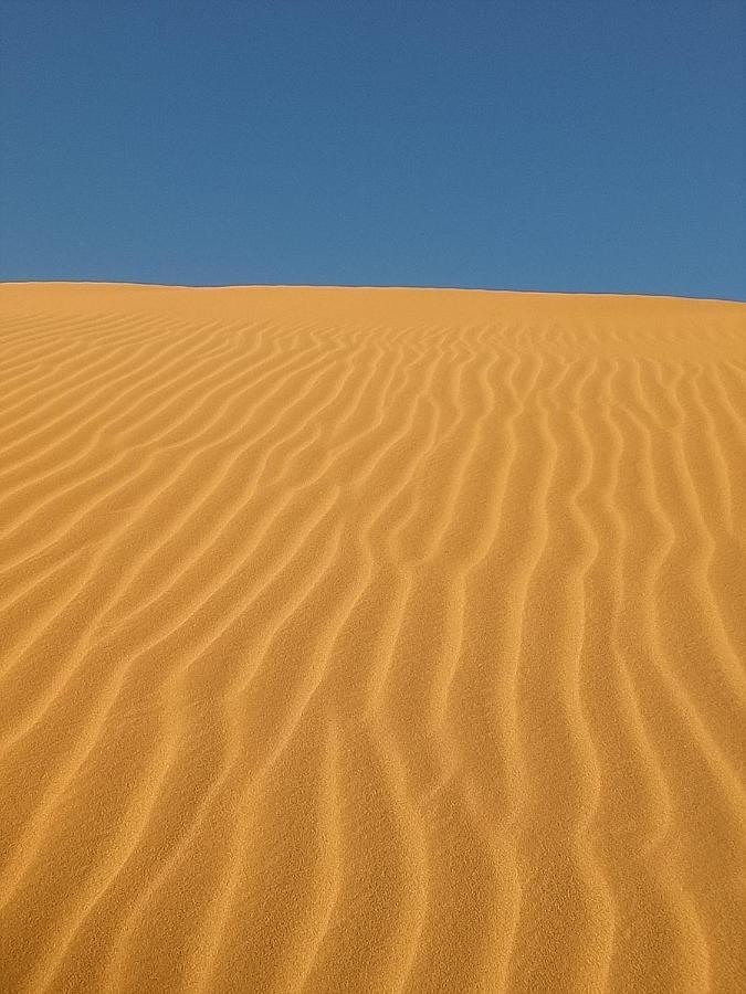 ホテル Sahara Peace Camp ザゴラ エクステリア 写真