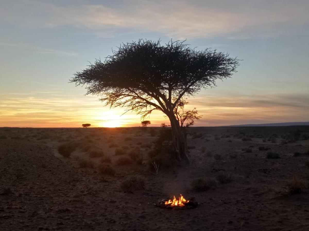 ホテル Sahara Peace Camp ザゴラ エクステリア 写真