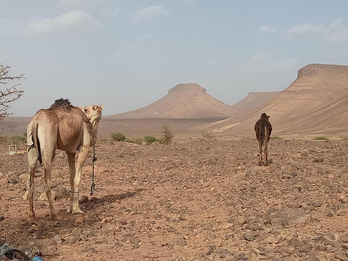 ホテル Sahara Peace Camp ザゴラ エクステリア 写真