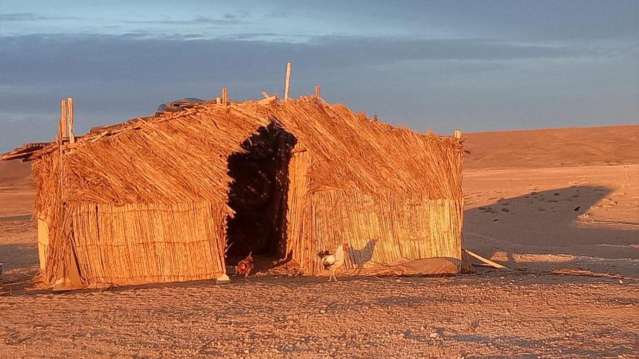 ホテル Sahara Peace Camp ザゴラ エクステリア 写真