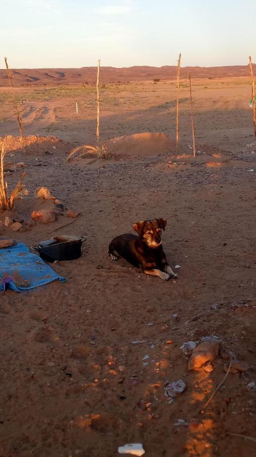 ホテル Sahara Peace Camp ザゴラ エクステリア 写真