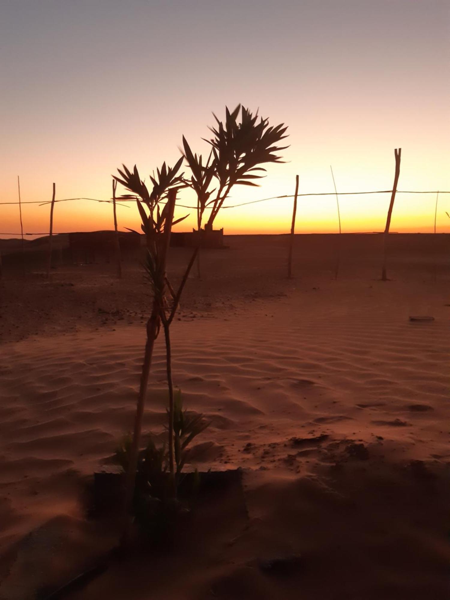 ホテル Sahara Peace Camp ザゴラ エクステリア 写真